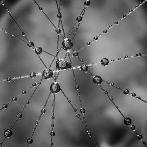 Experimentelle Fotografie