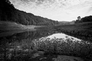 Natur, Landschaft und Tierwelt